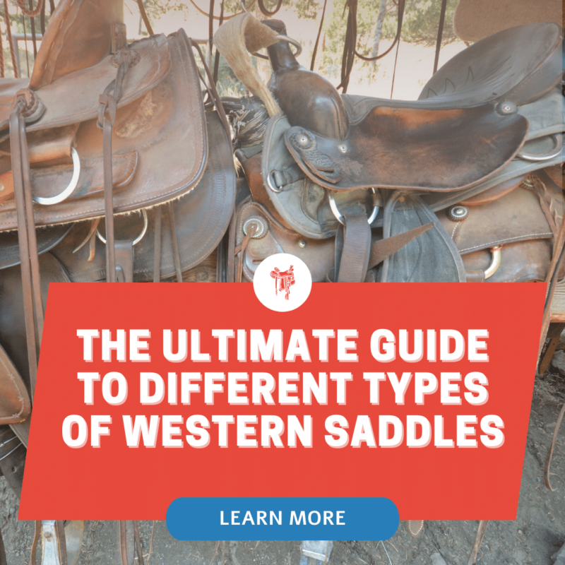 Barrel Racing Saddles The Ultimate Guide To Finding The Perfect Fit   Barrel Racing Saddles 800x800 