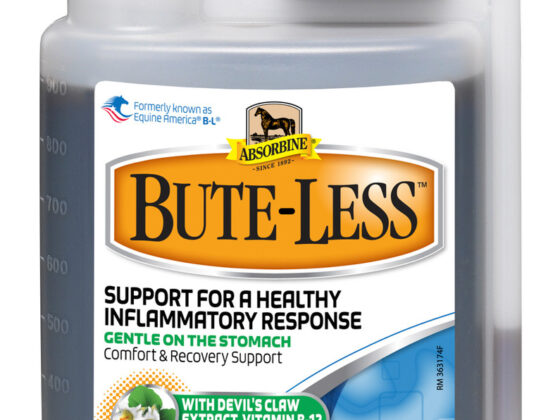 Bute for Horses