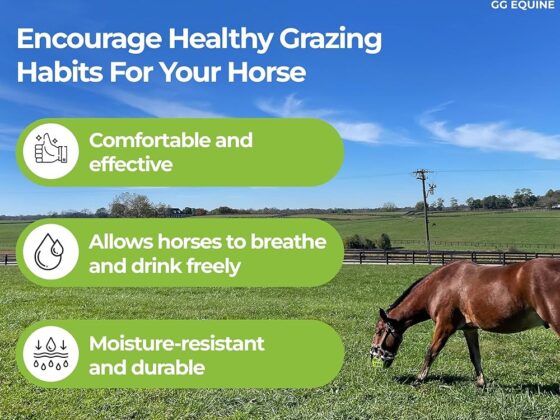 Horse Grazing Muzzle