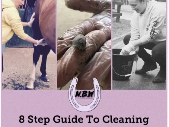 Horse Sheath Cleaning